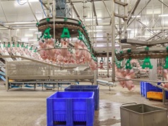 Drobiarski gigant z Mazowsza inwestuje. Zbuduje nowy zakład za ponad 400 mln zł