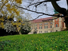 Majówka w Łańcucie: Od nocnego zwiedzania po historyczne pokazy przed zamkiem