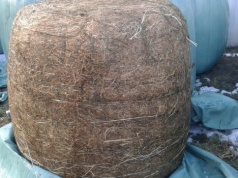 Usuwanie folii rolniczych bez dofinansowania. Koszt spada na rolnika