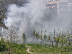 Pożar traw w okolicy ul. Opolskiej w Krakowie