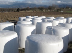 Co z dopłatami do odbioru folii rolniczych? Fundusz stawia sprawę jasno