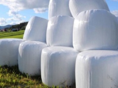 W kasie państwa pustki. Nie ma pieniędzy na usuwanie folii rolniczych