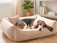 Gdzie kupić legowisko dla psa?