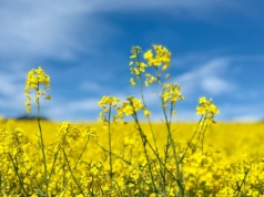 Prognoza pogody na 1 i 2 maja