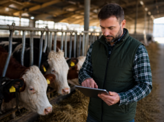 Złóż wniosek o nadanie WNI! Nowy obowiązek dla posiadaczy zwierząt