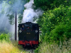 Prawdziwa ciuchcia jak z XIX wieku. Polska atrakcja kosztuje grosze