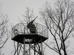 Obrona przeciwlotnicza na zamówienie. Ukraińcy pozwolili firmom walczyć z dronami