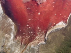 Zwierzęta zastygły, jakby Harry Potter poddał je petryfikacji. Turyści oglądają niezwykłe pomniki nad jeziorem Natron