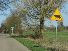 Potężny cios dla polskich rolników! Potwierdza się najgorszy scenariusz dotyczący cen mięsa z Mercosur