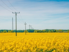 Walka o miliony za słupy na działkach. Jak rozpocząć batalię o odszkodowanie?