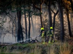 W Holandii płoną tereny wojskowe. Jest apel o pomoc