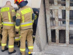 Jeż był zwinięty w kulkę. Nikt nie wie, jak wszedł za kraty