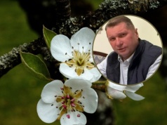 Przymrozki zniszczyły sady. Czarnek wzywa rząd do pilnej pomocy rolnikom