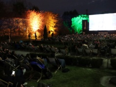 Tłumy w Ogrodzie Botanicznym UJ. Bezpłatne kino plenerowe hitem