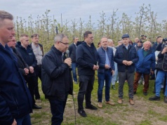 Sadownicy załamują ręce, mróz zniszczył pąki i przyszły plon. Politycy zapewniają o wsparciu
