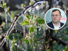 Straty sięgają 100 proc. Jest apel plantatorów. Minister odpowiada