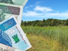 Prawie 70 tys. zł za hektar łąki? Rolnicy przecierają oczy