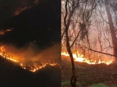 Pożar trawi Toskanię. Tysiące osób ewakuowanych