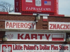 Ilu nas Polaków w ogóle jest na świecie?