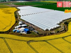 „Patrzę z optymizmem na sezon malin i jeżyn” – mróz nie przekreślił planów plantatora