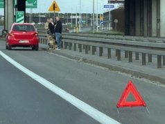 Czy samochody spalinowe psują się częściej niż elektryki? Najnowszy raport nie pozostawia złudzeń
