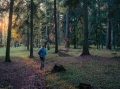 Kurhany i tajemnice II wojny światowej. Odkryj Las Kolanowski