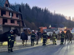 Alarm o czwartej nad ranem. Pod Zakopanem złapali bandę uciekinierów. Jeden wciąż poszukiwany