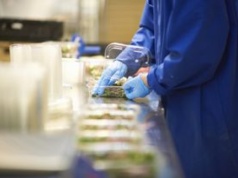 Producent sałatek zamyka zakład i zwalnia całą załogę. Tłumaczy, dlaczego