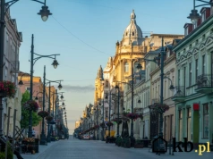 Małe miasto zamiast metropolii? Największe zaskoczenie przyszło po tygodniu