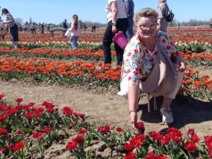 Milion kwiatów i setki odwiedzających. Tulipanowe szaleństwo na Żuławach