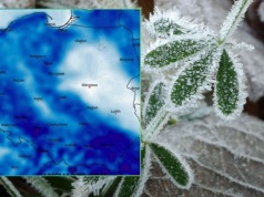 Prognozy na maj nie pozostawiają złudzeń. "Zimni ogrodnicy" uderzą bardzo mocno
