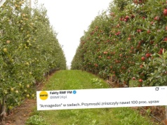 Przymrozki spowodowały nawet 100% zniszczenia niektórych upraw, minister zapowiada wsparcie 