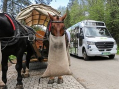 16 busów wjedzie na trasę do Morskiego Oka