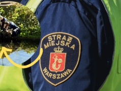 Dramat małych nurogęsi w Warszawie. "Pożarta przez rybę"
