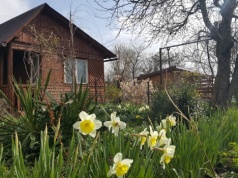 Spór z sąsiadem lub zarządem ROD