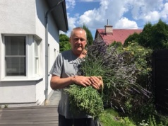 MAJÓWKA NA WSI czyli, wsi spokojna, wsi wesoła