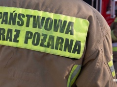 Zachodniopomorscy strażacy walczą z pożarem lasu