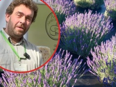 Żyją tylko z 3 hektarów. „To droga dla małych gospodarstw”