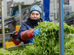 Green Factory zamyka zakład w Legnicy i zwalnia ok. 200 osób. "Trwale nierentowny"