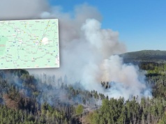 Czescy strażacy walczą z gigantycznym pożarem. To blisko naszej granicy