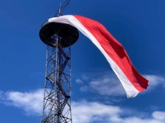 Nowa zieleń wokół wieży spadochronowej. Na razie wygląda bardzo niepozornie