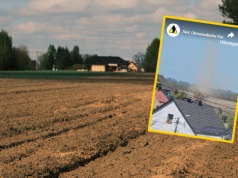 Pogoda w Polsce im sprzyja. Diabełki pyłowe pojawiają się w różnych częściach kraju