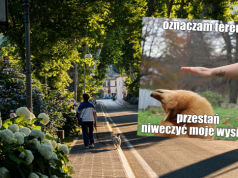 Włochy: jedno z miast nakazało sprzątać po psach, ale nie tylko kupę
