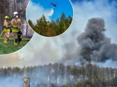 Potężny pożar lasów pod Częstochową. 141 strażaków  walczyło z żywiołem