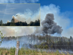 Płoną hektary lasu koło Częstochowy. Strażaków wspiera samolot gaśniczy