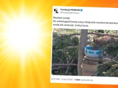 Susza i wysokie temperatury w Polsce. Apelują o jedno, zajmie ci to chwilę
