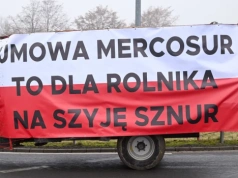 "Perfidna blokada". Problemy z eksportem polskiego nabiału po starcie umowy z Mercosur