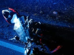 Tragiczne zderzenie motocyklistki z łosiem. Nie żyje kierująca jednośladem
