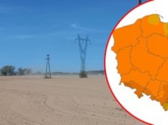 Poważna susza w Polsce. Krajobraz jak na pustyni