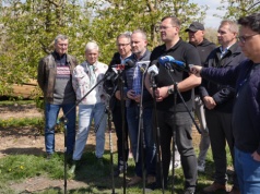 Straty w sadach po przymrozkach. Rolnicy mają dostać wsparcie